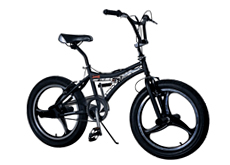 20"freestyle bicycle